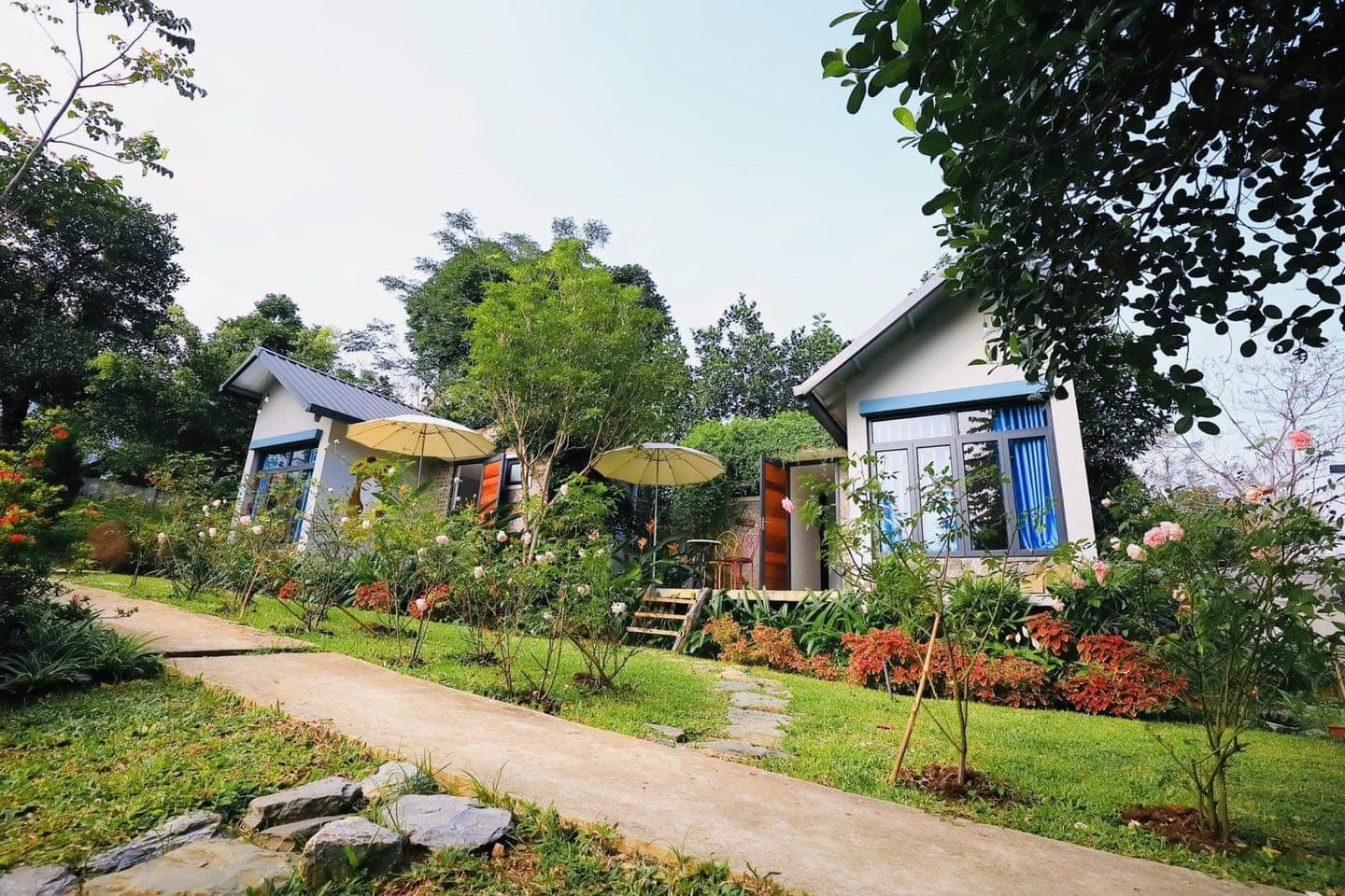 Padme Homestay Ba Vì 